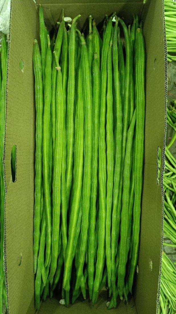 Fresh long beans boxed
