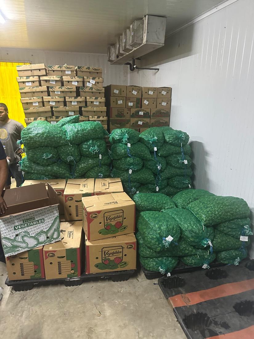 Boxes packed for export